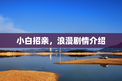 小白招亲，浪漫剧情介绍