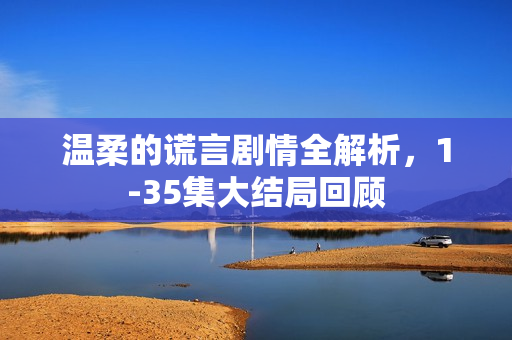 温柔的谎言剧情全解析，1-35集大结局回顾