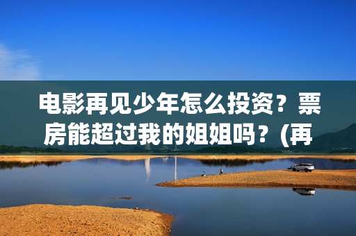 电影再见少年怎么投资？票房能超过我的姐姐吗？(再见少年演的啥)
