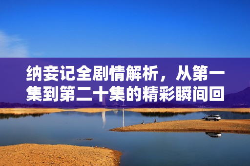 纳妾记全剧情解析，从第一集到第二十集的精彩瞬间回顾