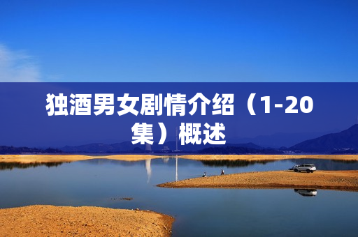 独酒男女剧情介绍（1-20集）概述