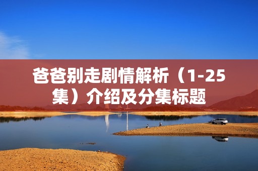 爸爸别走剧情解析（1-25集）介绍及分集标题