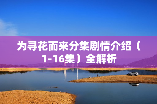 为寻花而来分集剧情介绍（1-16集）全解析