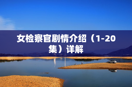 女检察官剧情介绍（1-20集）详解