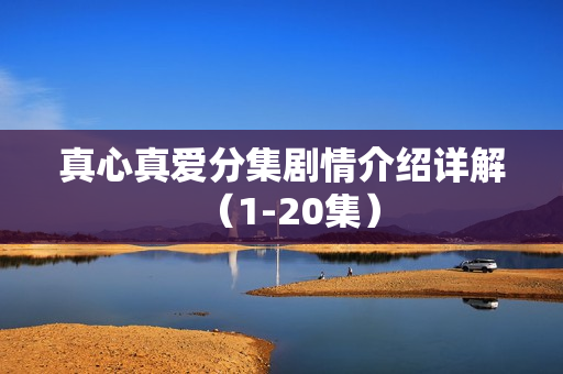 真心真爱分集剧情介绍详解(1-20集) 真心真爱分集剧情介绍详解(1-20集)