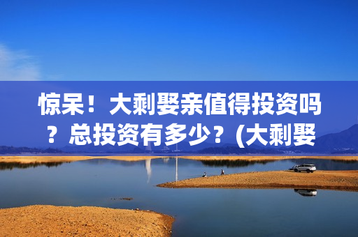 惊呆！大剩娶亲值得投资吗？总投资有多少？(大剩娶亲有哪个公司出品)