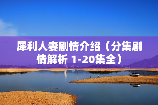 犀利人妻剧情介绍(分集剧情解析 1-20集全) 犀利人妻剧情介绍(分集剧情解析 1-20集全)