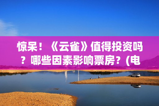 惊呆！《云雀》值得投资吗？哪些因素影响票房？(电影云雀)