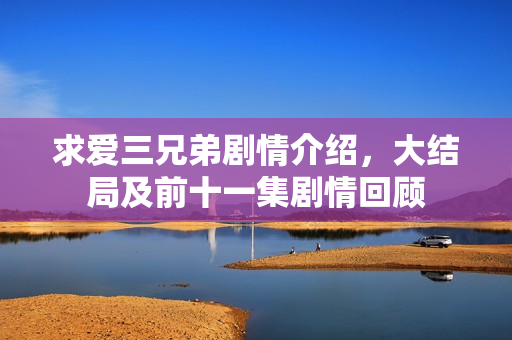 求爱三兄弟剧情介绍，大结局及前十一集剧情回顾