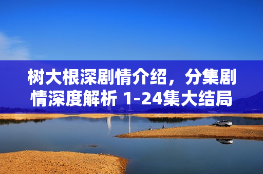 树大根深剧情介绍，分集剧情深度解析 1-24集大结局回顾
