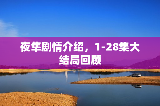 夜隼剧情介绍，1-28集大结局回顾