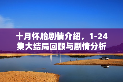 十月怀胎剧情介绍，1-24集大结局回顾与剧情分析