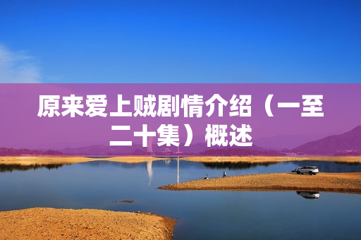 原来爱上贼剧情介绍(一至二十集)概述 原来爱上贼剧情介绍(一至二十集)概述