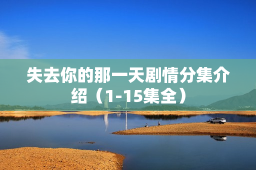 失去你的那一天剧情分集介绍（1-15集全）