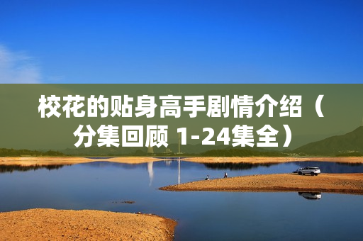 校花的贴身高手剧情介绍（分集回顾 1-24集全）