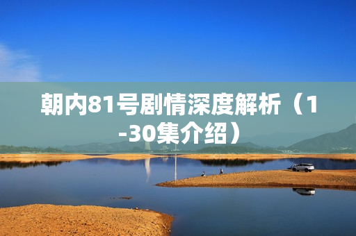 朝内81号剧情深度解析（1-30集介绍）