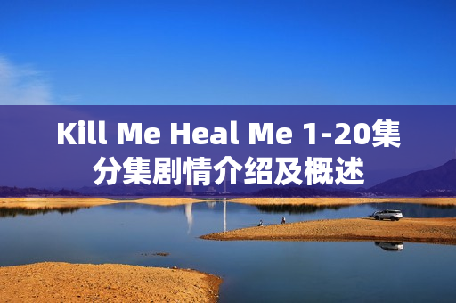 Kill Me Heal Me 1-20集分集剧情介绍及概述