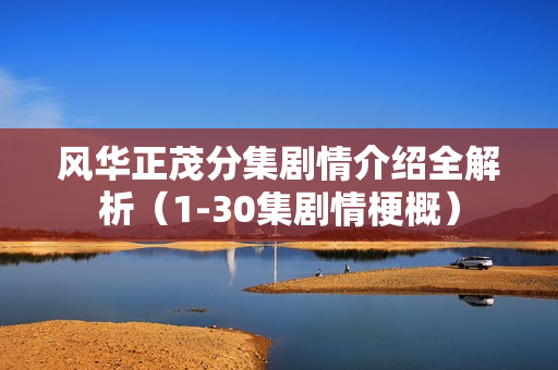 风华正茂分集剧情介绍全解析（1-30集剧情梗概）