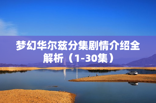 梦幻华尔兹分集剧情介绍全解析（1-30集）