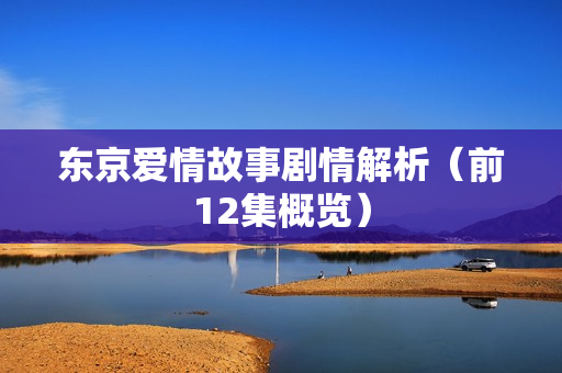 东京爱情故事剧情解析（前12集概览）