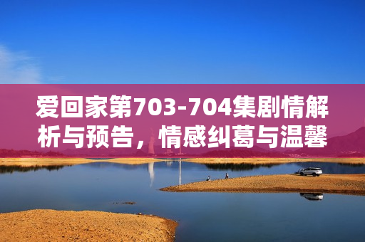 爱回家第703-704集剧情解析与预告，情感纠葛与温馨瞬间