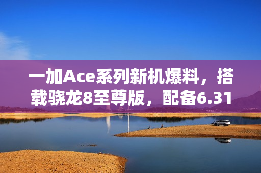 一加Ace系列新机爆料，搭载骁龙8至尊版，配备6.31英寸1.5K小直屏