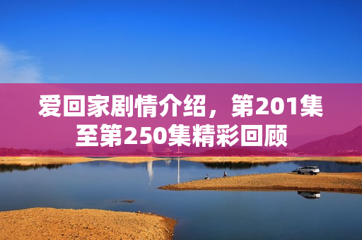 爱回家剧情介绍，第201集至第250集精彩回顾