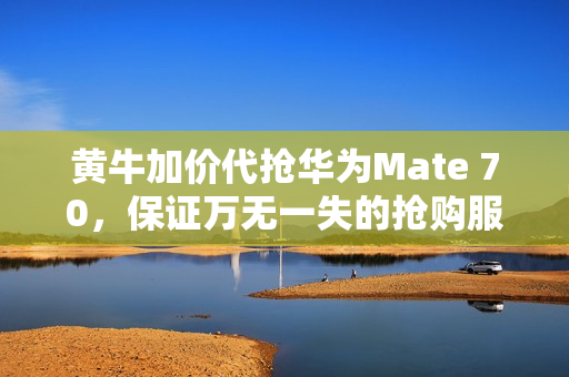 黄牛加价代抢华为Mate 70，保证万无一失的抢购服务