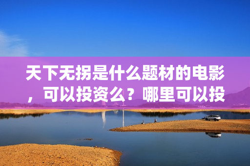天下无拐是什么题材的电影，可以投资么？哪里可以投资？(天下无拐是什么意思)