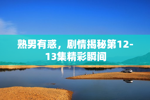 熟男有惑，剧情揭秘第12-13集精彩瞬间