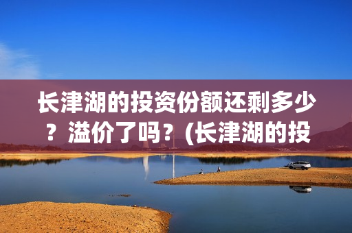长津湖的投资份额还剩多少？溢价了吗？(长津湖的投资额)