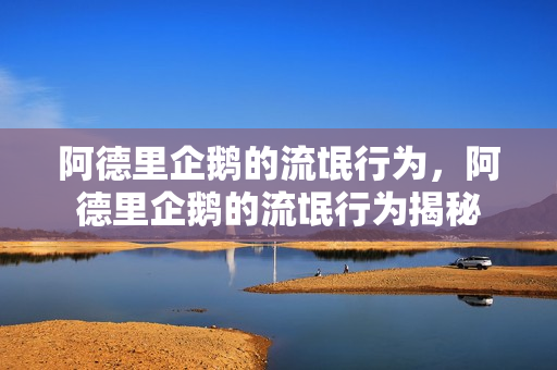 阿德里企鹅的流氓行为，阿德里企鹅的流氓行为揭秘