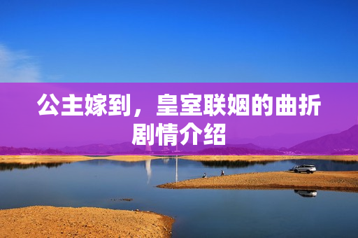 公主嫁到，皇室联姻的曲折剧情介绍