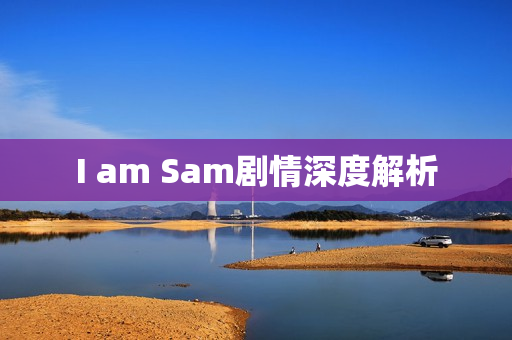 I am Sam剧情深度解析