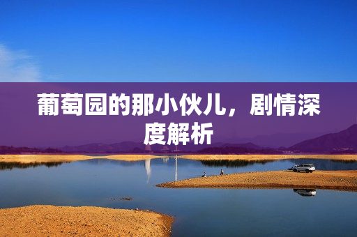 葡萄园的那小伙儿，剧情深度解析