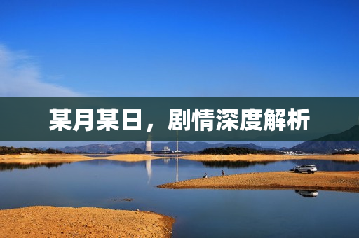 某月某日，剧情深度解析