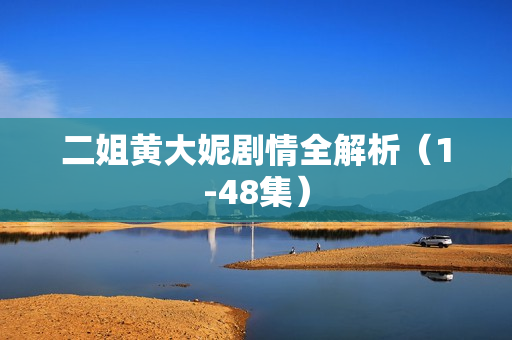 二姐黄大妮剧情全解析（1-48集）