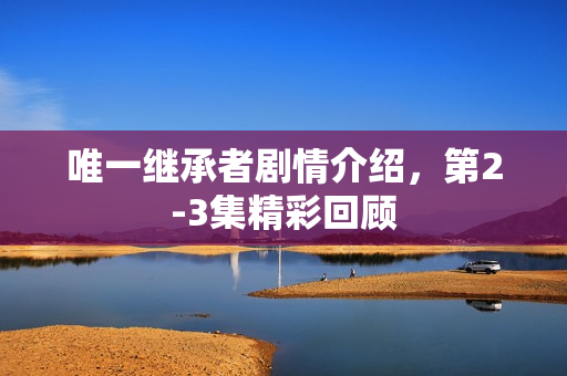唯一继承者剧情介绍，第2-3集精彩回顾