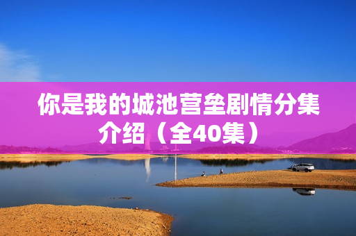 你是我的城池营垒剧情分集介绍（全40集）