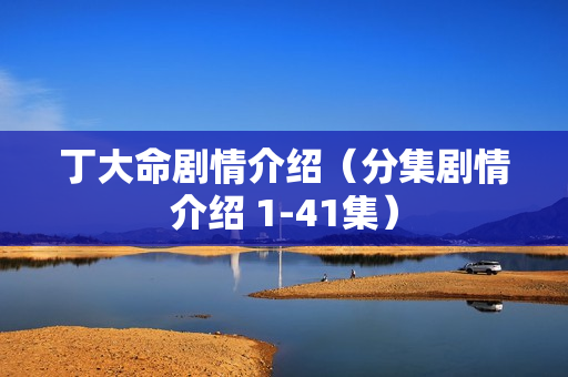 丁大命剧情介绍（分集剧情介绍 1-41集）