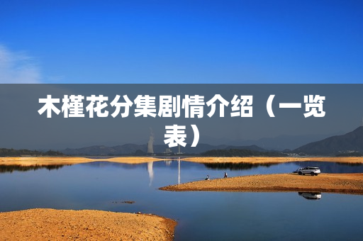 木槿花分集剧情介绍（一览表）