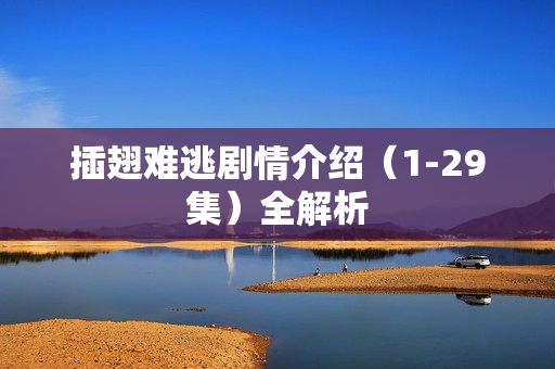 插翅难逃剧情介绍（1-29集）全解析