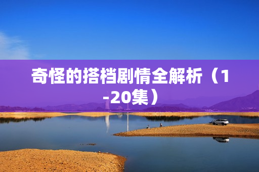 奇怪的搭档剧情全解析（1-20集）