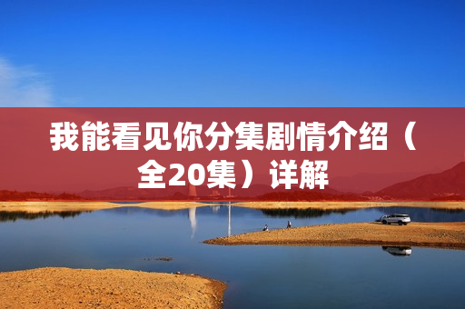 我能看见你分集剧情介绍（全20集）详解