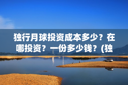 独行月球投资成本多少？在哪投资？一份多少钱？(独行月球投资方)