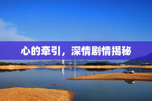 心的牵引，深情剧情揭秘