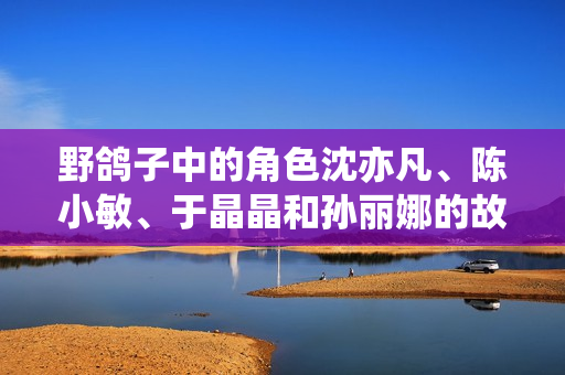 野鸽子中的角色沈亦凡、陈小敏、于晶晶和孙丽娜的故事