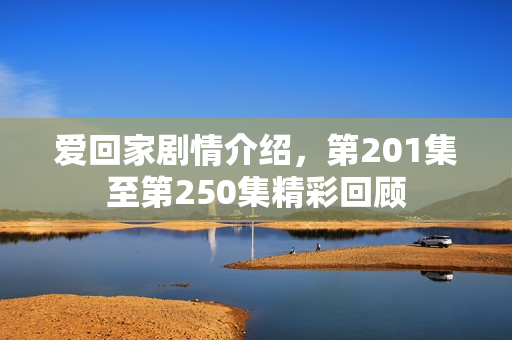 爱回家剧情介绍，第201集至第250集精彩回顾