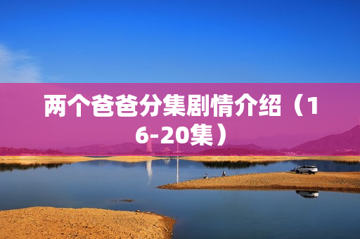两个爸爸分集剧情介绍(16-20集) 两个爸爸分集剧情介绍(16-20集)