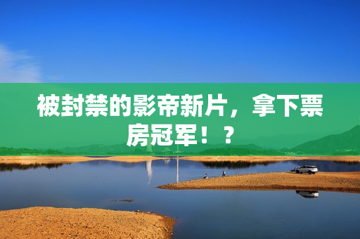 被封禁的影帝新片，拿下票房冠军！？